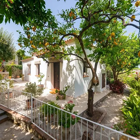 Il Mandorlo With Garden And Terrace In Forio D'ischia