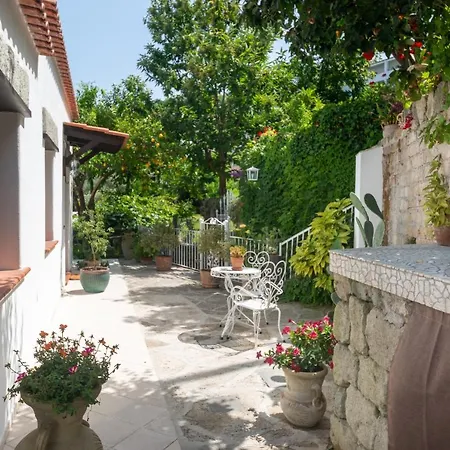 Βίλα Il Mandorlo With Garden And Terrace In Forio D'ischia