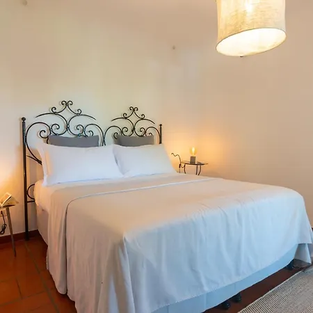 Il Mandorlo With Garden And Terrace In Forio D'ischia Βίλα *