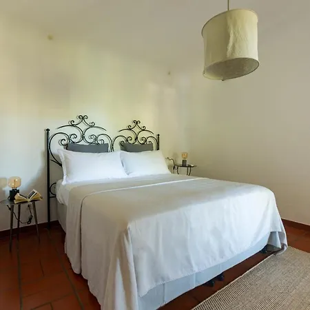 Βίλα Il Mandorlo With Garden And Terrace In Forio D'ischia *