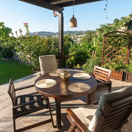 Il Mandorlo With Garden And Terrace In Forio D'ischia Forio di Ischia